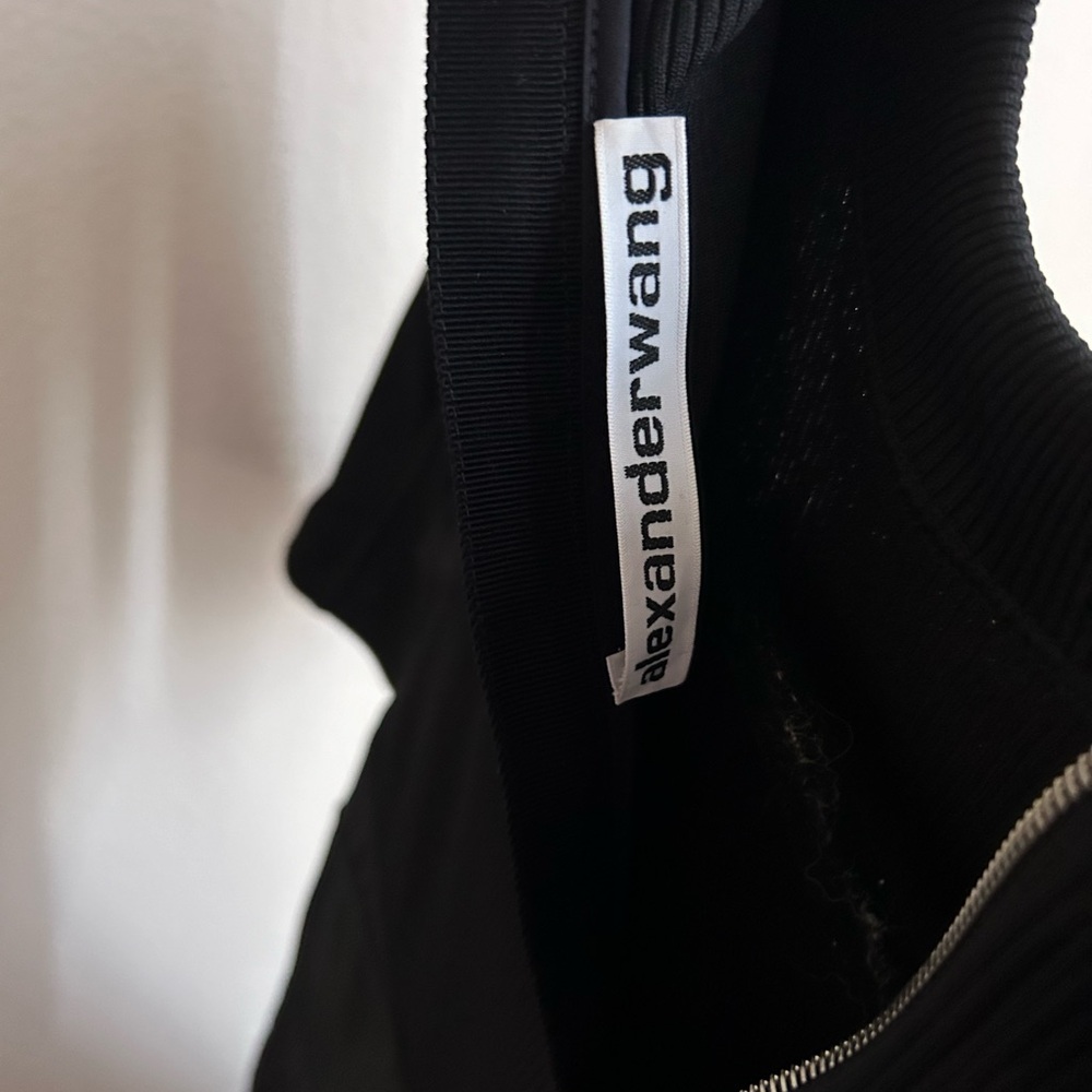 Alexander Wang Fit and Flare Ribbed Poplin Mock-neck Corset Dress 2 in Black - Picture 11 of 11